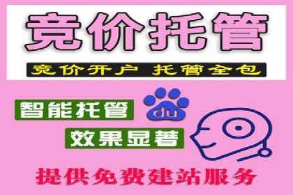 sem推广竞价的智慧与策略：多维度成功案例分析